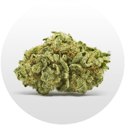 High Quality Cannabis close up